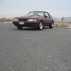 IMG 0429