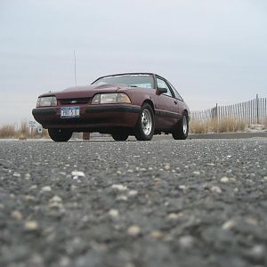 IMG 0430