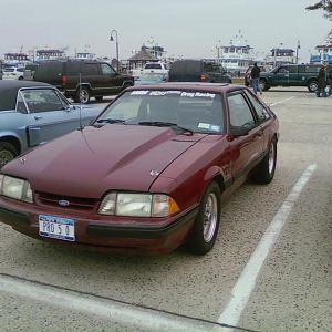 Mustangs041