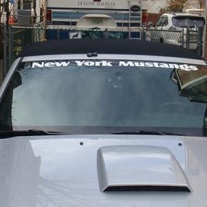 banner