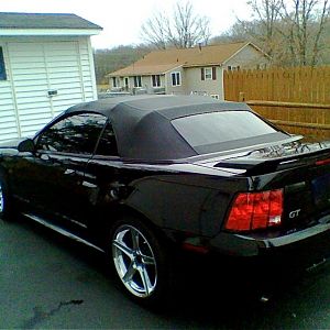 back