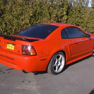 Mustang 5