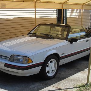 First day I got the car.