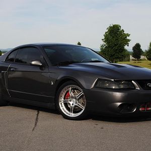 DSG Cobra