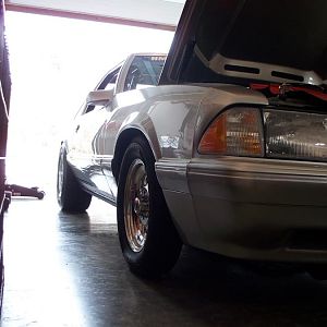 15x10's 008