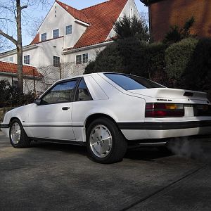 CIMG1993