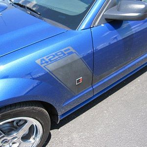 IMG 0258