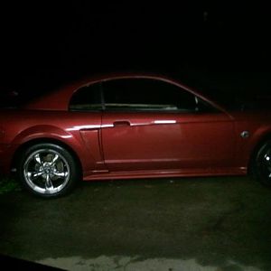 mustang