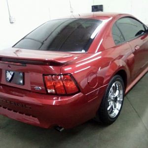 stang 1