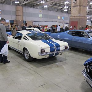 23258.jpg