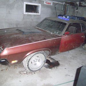70 cougar