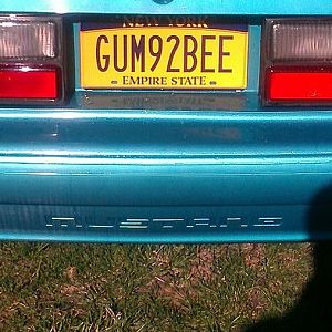 My 3 year old calls the Stang "Gumby".... So it is only fitting to go with the plates..