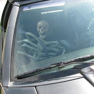my passenger!! LOL
