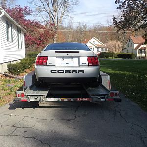 another on the trailer before I unloaded her.