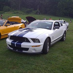 2008 Shelby GT500