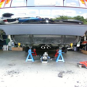 wheres my rear?