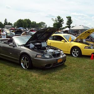 29167.jpg