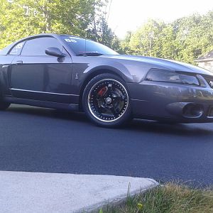 The DSG