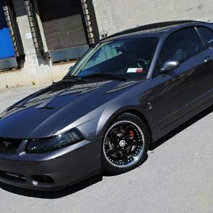 The DSG