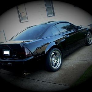 cobra 006