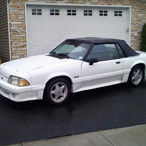 mustang