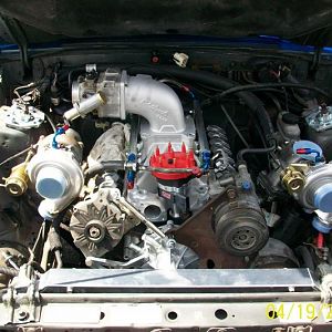 mustang 018