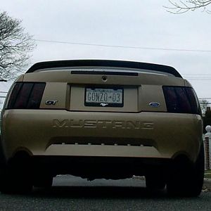 Rear