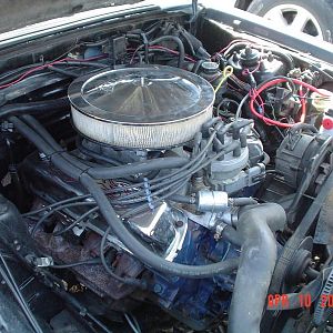 WHEELSMUSTANG 010