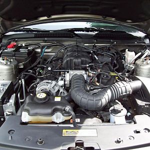 A closer look at the heart of THE BEAST.