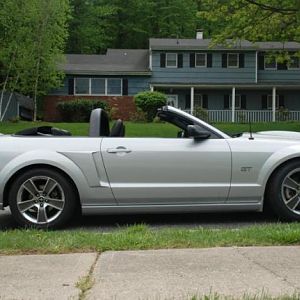 mustang10