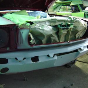 Picture mustang 018