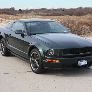 BULLIT09 052 (Medium)