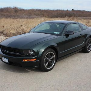 BULLIT09 119 (Medium)