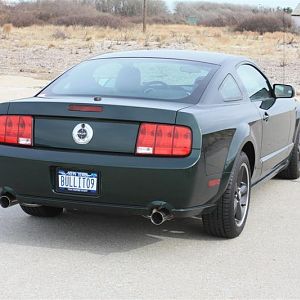 BULLIT09 061 (Medium)