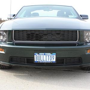 BULLIT09 098 (Medium)