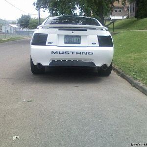 3874.jpg