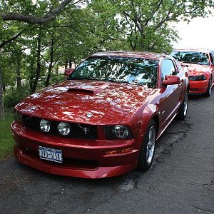 Bear Mountain Cruise 051 (Custom)