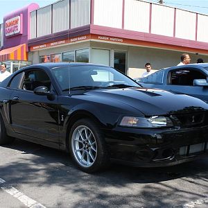 Bear Mountain Cruise 010 (Custom)