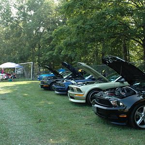 Mustang Rally 015