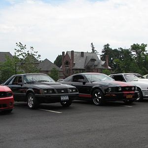 IMG 0264