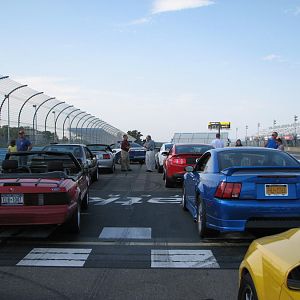 IMG 0311