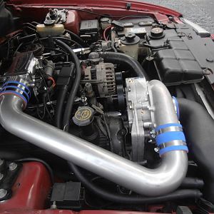 363 rwhp 349 ft/lbs torque