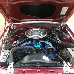 82 motor