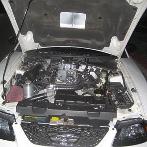 IMG 0338