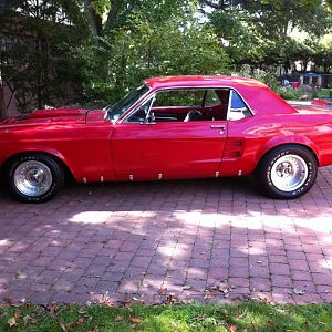 Mustang5
