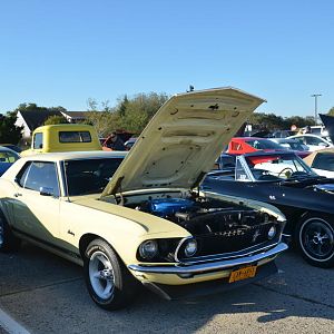 Captree Car show