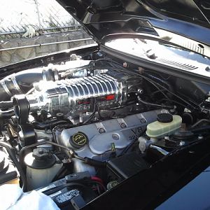 2.9 Whipple crusher