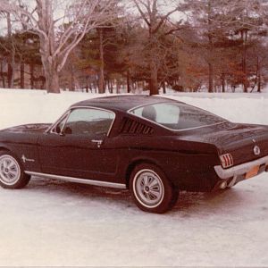My wife's first mustang.