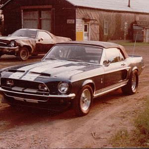 Shelby in street race trim.