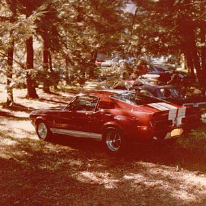 1968 Shelby GT350